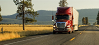 Drive N Deliver
